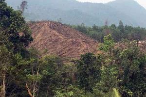 Hơn 2,8 nghìn ha đất, đất rừng không có hồ sơ quản lý