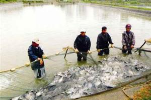 Nam Định: Nhiều vi phạm về đất đai tại nông lâm trường quốc doanh