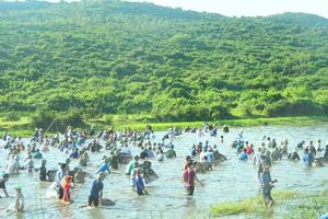 Độc đáo lễ hội đánh cá “vớt lộc” cầu may