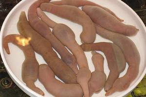 9 món ăn kinh dị nhất Hàn Quốc