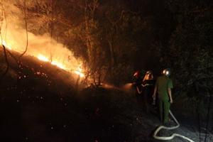 Đã dập tắt được các đám cháy trong rừng phòng hộ Sóc Sơn