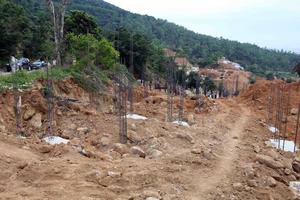 Đà Nẵng báo cáo Thủ tướng về quy hoạch Khu du lịch Sơn Trà