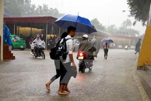 Đêm nay mưa to diện rộng, dông, gió giật khắp cả Hà Nội, Bắc Bộ