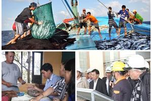 Quyết liệt giải quyết sự cố môi trường biển 4 tỉnh miền Trung