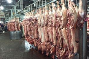 Sau ngày 30 /7, thịt heo bán ở chợ đầu mối phải có truy xuất nguồn gốc