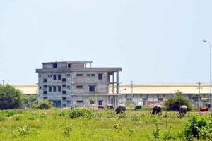 Ám ảnh những TP không bóng người