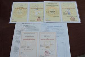 Nhóm chuyên làm bằng giả sa lưới