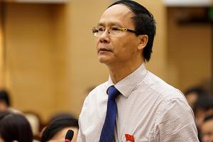 Hà Nội làm chưa hết trách nhiệm, ĐB “xót” biệt thự bị phá