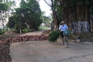 Hà Nội: Hàng loạt cựu cán bộ xã Đồng Tâm hầu toà vì “vô tư” bán đất
