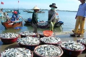 Tiếp tục dừng khai thác hải sản vùng đáy ở 4 tỉnh miền Trung