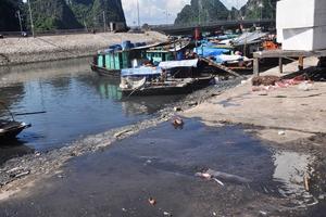 Vẫn chưa xác định được chất thải đen đổ ra vịnh Hạ Long là gì