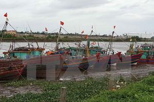 Các địa phương cấp bách triển khai phòng, chống cơn bão số 2