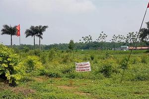 Hà Nội kiến nghị thu hồi đất sân bay Miếu Môn bị chiếm trái phép