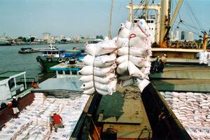 Giám sát tài chính Tổng Cty Lương thực Miền Nam