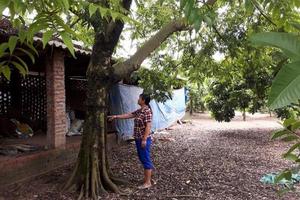 Thanh tra trách nhiệm, huyện hủy nhiều văn bản của xã