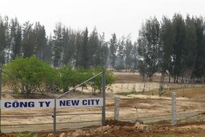 Đề nghị dừng D.A chăn nuôi bò thịt tại Phú Yên