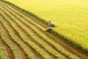  Bán, chuyển nhượng tài sản sai quy định hàng trăm tỷ đồng 