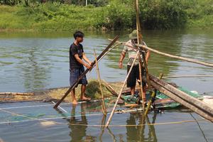 Hàng chục hộ dân “điêu đứng” vì cá lồng chết bất thường
