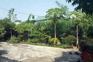 Hoài Đức, Hà Nội: Cần xem xét tồn tại lịch sử trong giải quyết đơn