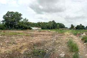 Tham mưu một đằng, giải quyết một nẻo 