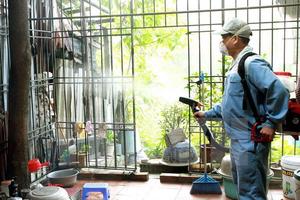 Có thể xảy ra dị ứng sau phun thuốc muỗi nhưng không hại sức khỏe