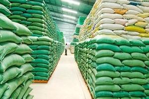 Bắt trưởng phòng "ăn" hơn 1.000 tấn cám, chiếm đoạt gần 10 tỷ đồng