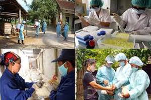 Vi phạm hành chính trong lĩnh vực thú y phạt đến 100 triệu đồng