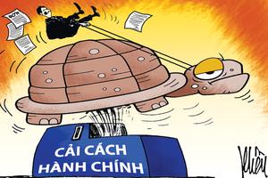 Ma trận thủ tục hành chính: Lãnh đạo thành phố bức xúc