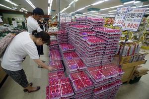 Tổng thống Hàn Quốc ra lệnh công bố sách trắng về vụ "trứng bẩn"