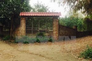 Phó Thủ tướng chỉ đạo giải quyết khiếu nại đất đai ở Thạch Thất