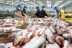 Kịp thời thông tin thay đổi trong chính sách nhập khẩu của Mỹ