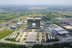 Biệt thự, nhà phố tiền tỷ bỏ hoang ở thành phố mới Bình Dương