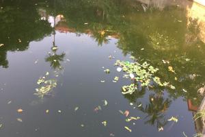 Vào vùng tâm điểm dịch sốt xuất huyết