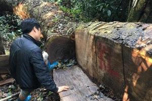 Vườn Quốc gia Ba Bể tồn tại được bao lâu?