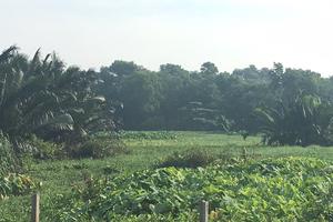 Vì sao công an quận 12 không khởi tố vụ án?