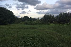 Chủ tịch UBND quận chỉ đạo công an vào cuộc