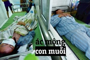 Ác mộng "muỗi" của người Hà Nội