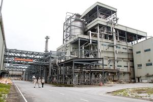 Tập đoàn Dầu khí tập trung xử lý dứt điểm các dự án chưa hiệu quả