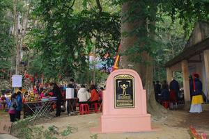 UNESCO VN phản ứng Bộ Văn hóa về "dẹp loạn danh hiệu"