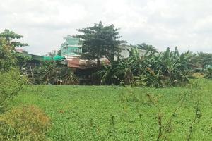 UBND phường Bình Hưng Hòa bất lực hay bao che sai phạm?