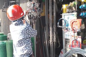 Quy định tiêu hủy chó thả rông: Còn đó những băn khoăn