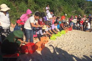 Thả hơn 400 rùa con về môi trường biển