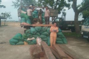 Bắt ô tô chở gỗ lậu