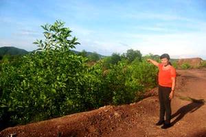 TAND Cấp cao tại Hà Nội vào cuộc