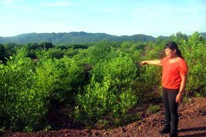 Hà Tĩnh: “Ly kỳ” bản án 10 năm không thể thực hiện?