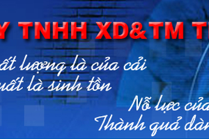 Thanh tra tại Công ty TNHH Thái Bình Minh