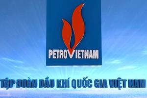 Hoàn thiện Điều lệ tổ chức và hoạt động của PVN