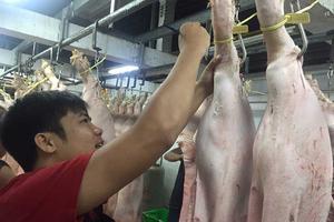 Doanh nghiệp phát khóc vì giấy phép con vô cảm