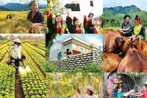 Truyền hình trực tiếp Ngày vì người nghèo