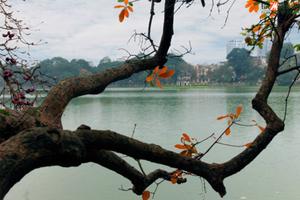 Miền Bắc sắp đón đợt se lạnh đầu tiên